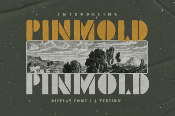 Pinmold: A Bold Vintage Display Font for Digital Designers