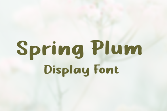 Spring Plum Display Font for Handmade Product Design